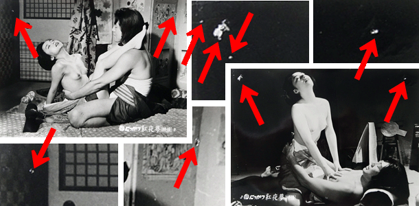 [X`[FR] g閲iށj@mmN/S8gn